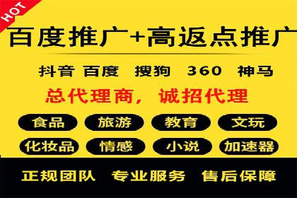 SEM服务案例：打造行业领先品牌